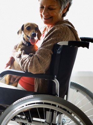 An elderly woman in a wheelchair looks content while holding a dachshund in her lap.