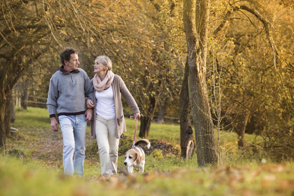 Seniors couple walking their dog.