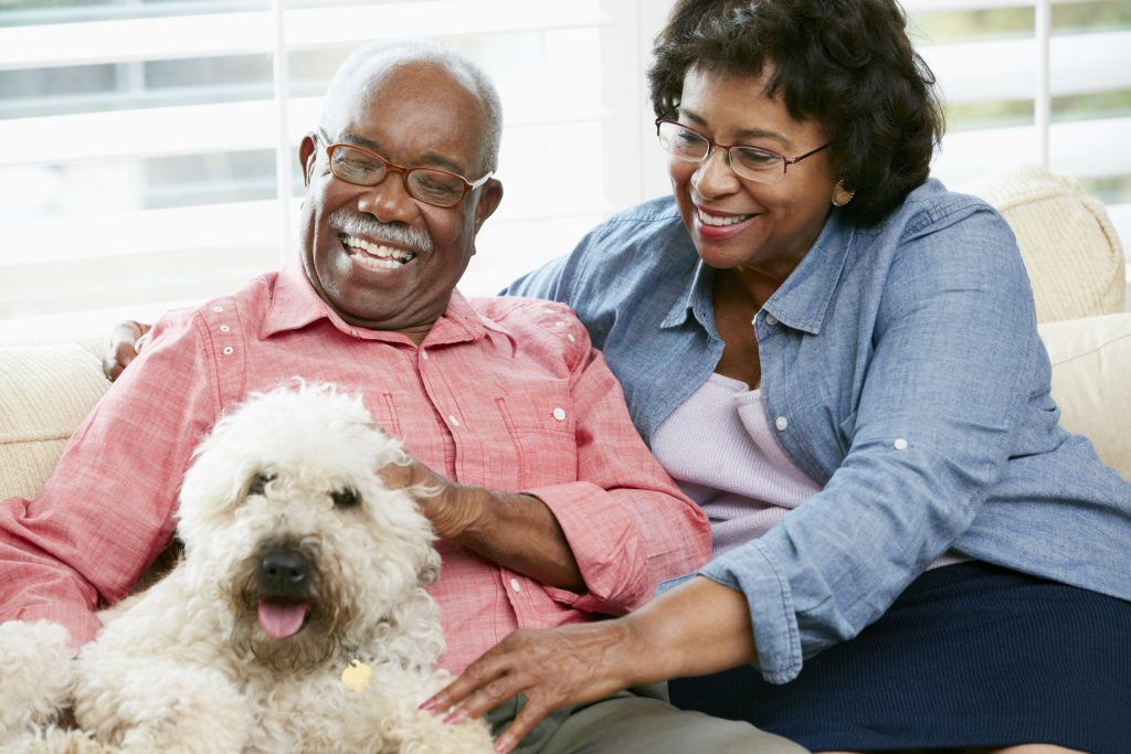 Happy senior couple with pet dog