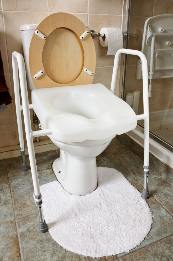 Raised toilet seat and handle bars